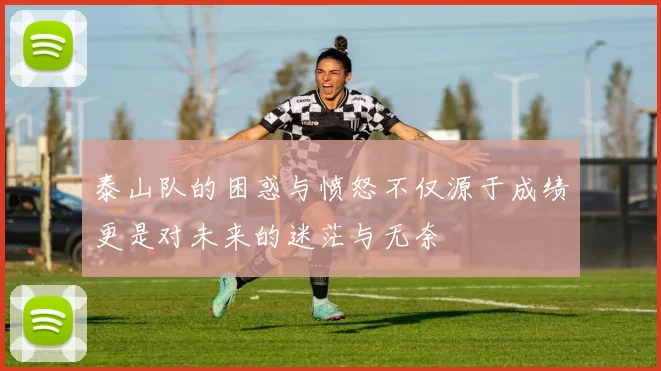 泰山队的困惑与愤怒不仅源于成绩更是对未来的迷茫与无奈